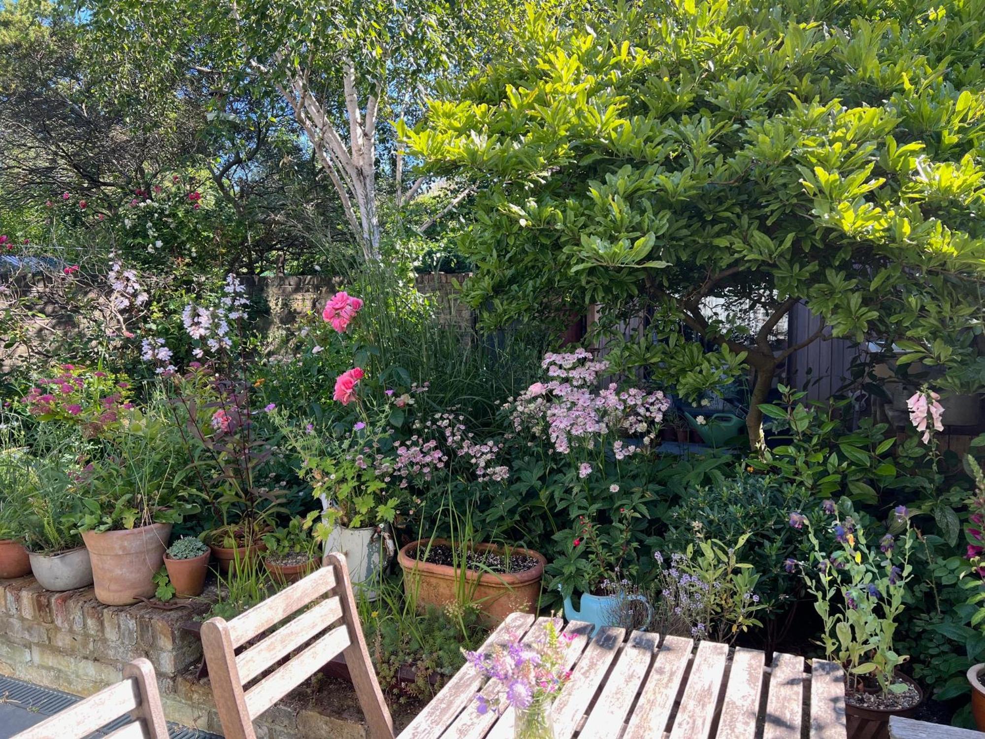 Bright And Elegant 2 Bedroom Flat, Near Notting Hill Londra Exterior foto