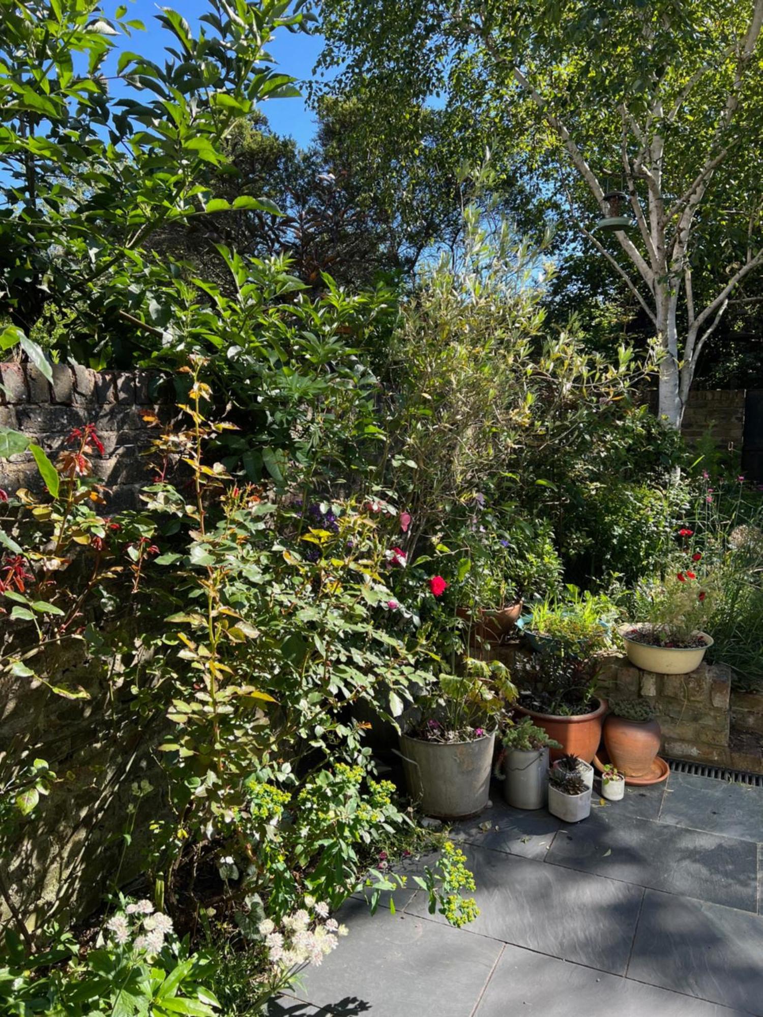 Bright And Elegant 2 Bedroom Flat, Near Notting Hill Londra Exterior foto
